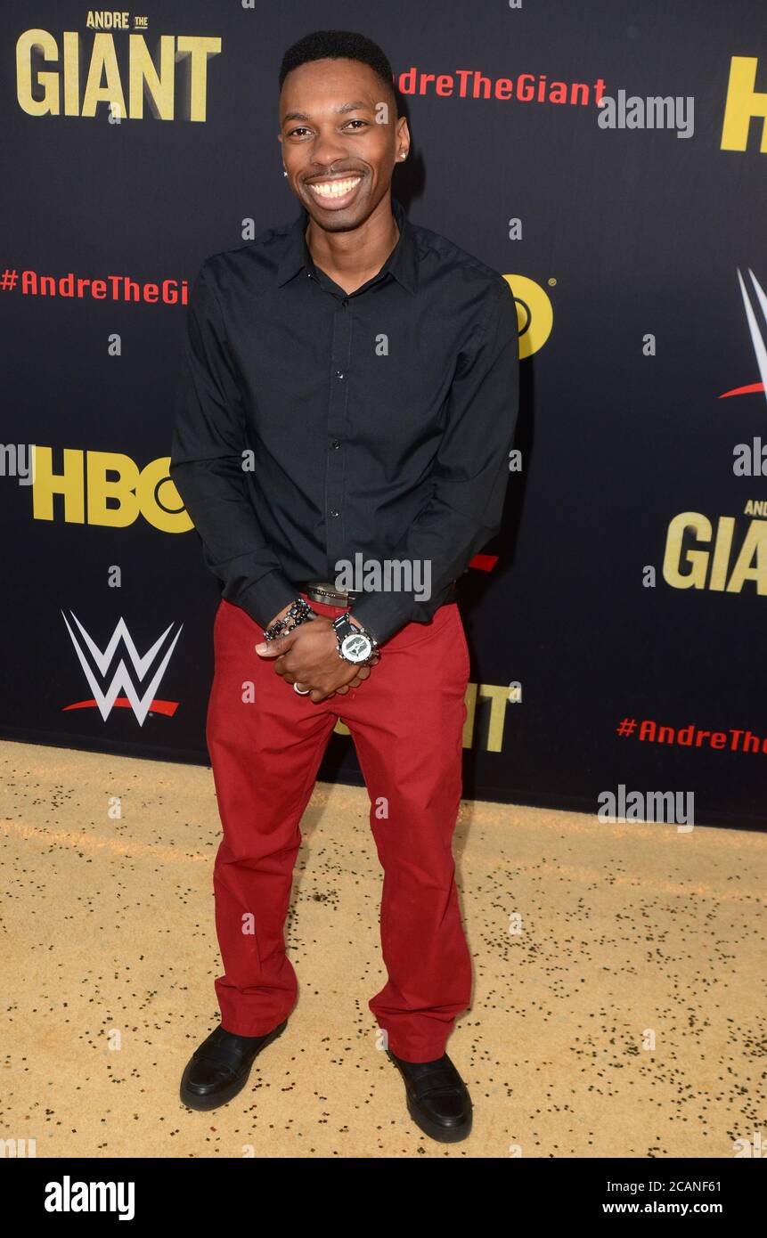 LOS ANGELES - 29 FÉVRIER : Melvin Jackson Jr. À la première HBO 'Andre le géant' au Cinerama Dome le 29 février 2018 à Los Angeles, CA Banque D'Images
