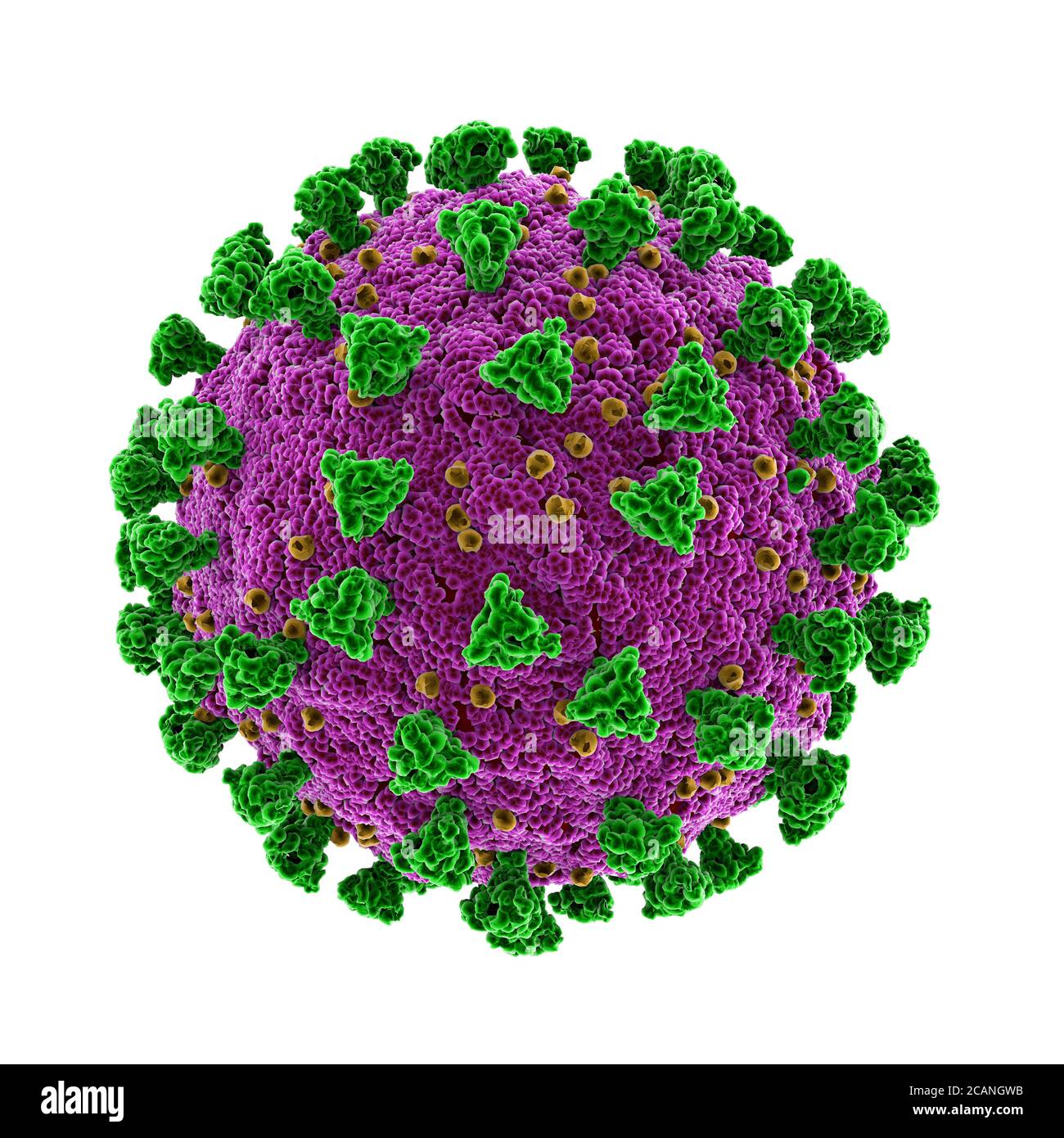 Particule de coronavirus Covid-19, illustration. Le nouveau coronavirus SRAS-CoV-2 (auparavant 2019-CoV) a vu le jour à Wuhan, en Chine, en décembre 2019. Le virus Banque D'Images