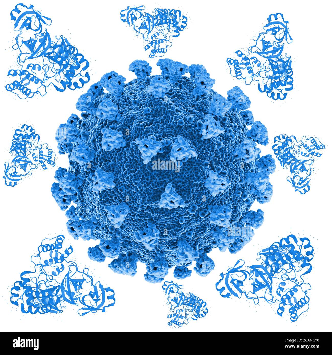 Illustration des particules du coronavirus Covid-19. Le nouveau coronavirus SRAS-COV-2 (anciennement 2019-COV) est apparu à Wuhan, en Chine, en décembre 2019. Le virus Banque D'Images