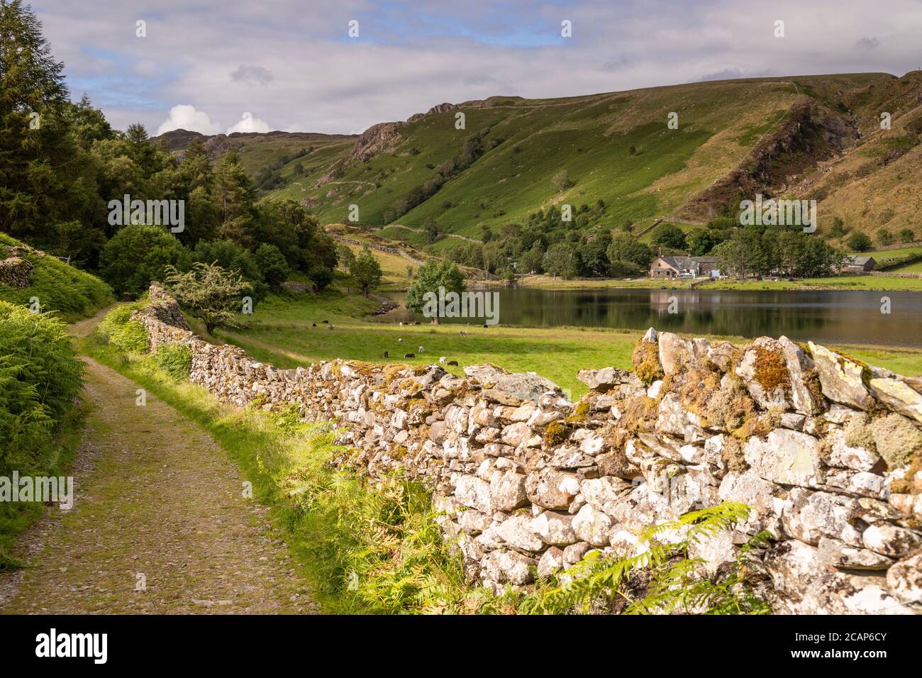 Watendlath Tarn dans le district des lacs, Angleterre Banque D'Images