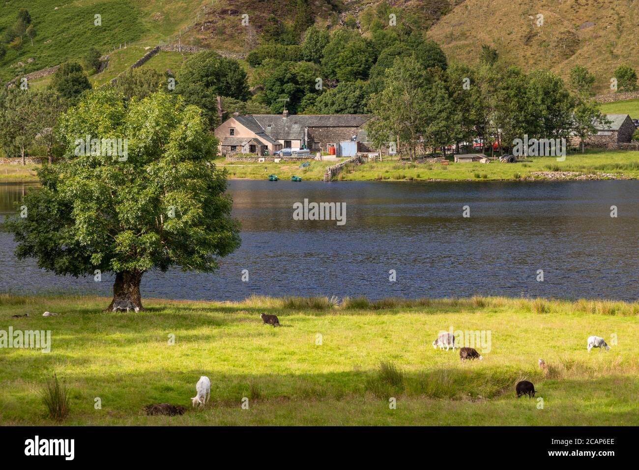Watendlath Tarn dans le district des lacs, Angleterre Banque D'Images