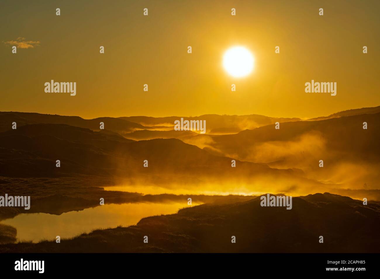 Étangs et terrain sans arbres au lever du soleil, Margaree, Terre-Neuve-et-Labrador, T.-N.-L., Canada Banque D'Images