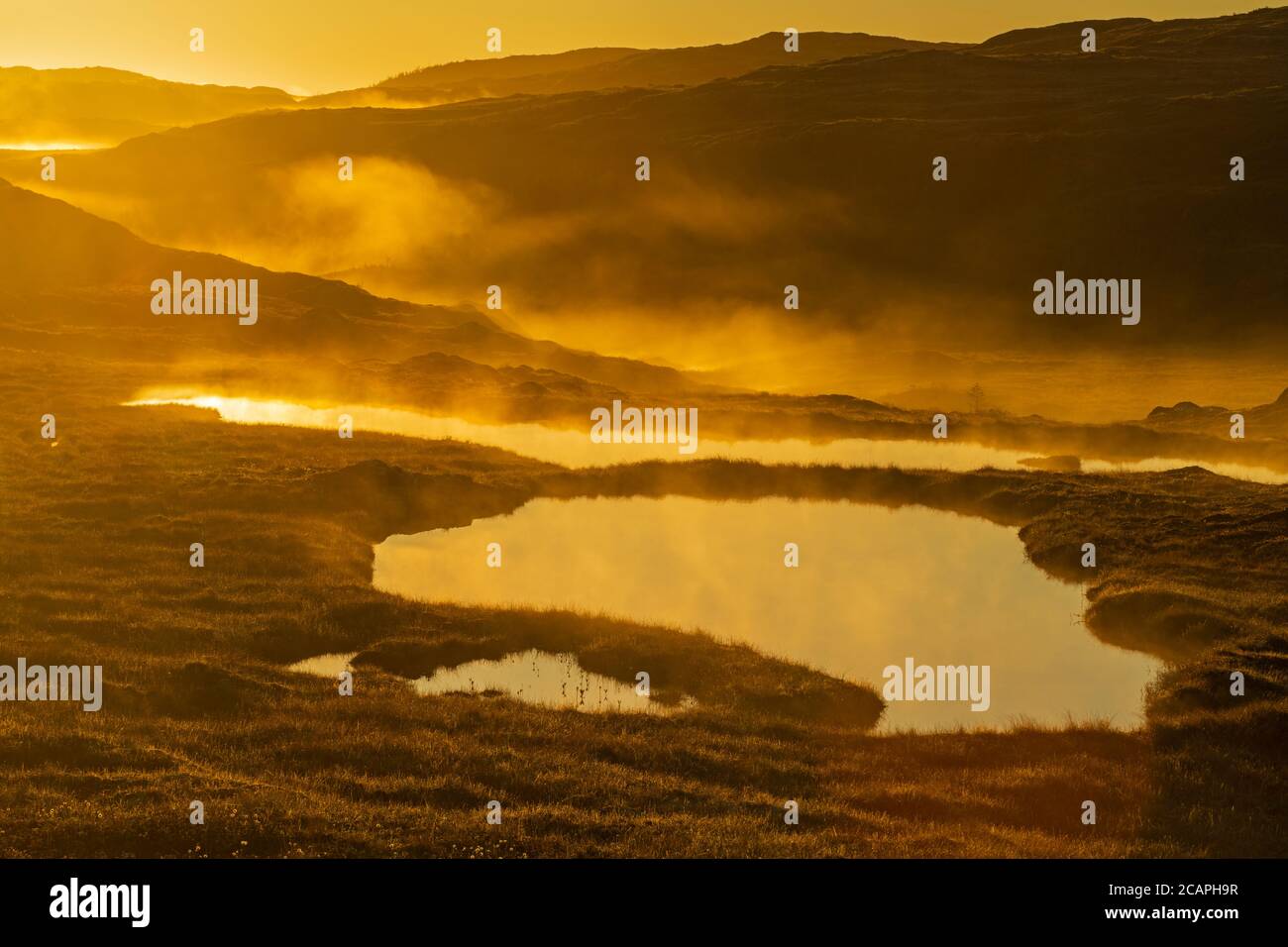 Étangs et terrain sans arbres au lever du soleil, Margaree, Terre-Neuve-et-Labrador, T.-N.-L., Canada Banque D'Images