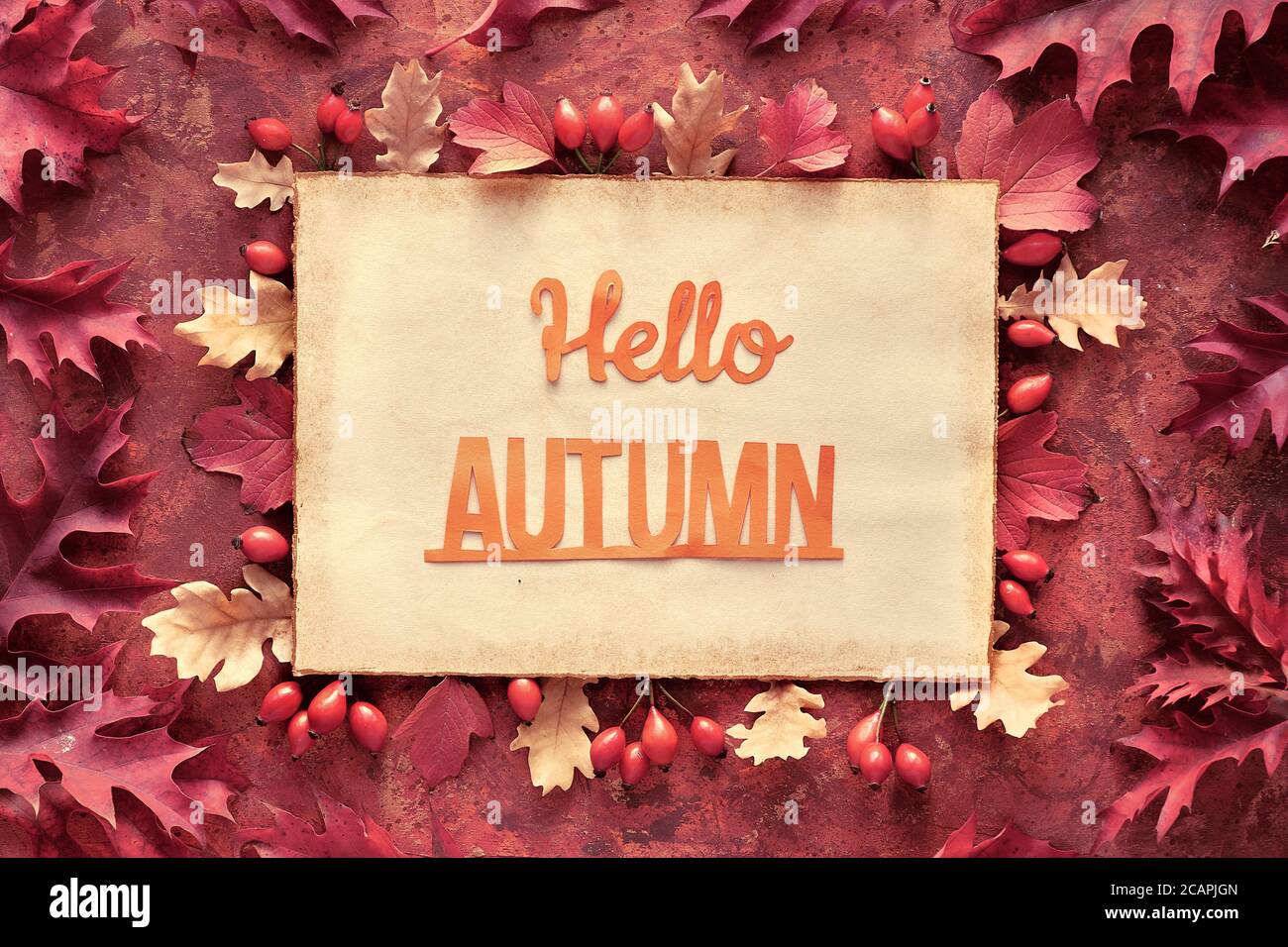 Cadre d'automne rouge foncé et brun avec bordure décorative à partir de feuilles d'automne en chêne. Texte découpé à la main Hello Autumn sur papier parchemin vintage vieilli. Banque D'Images