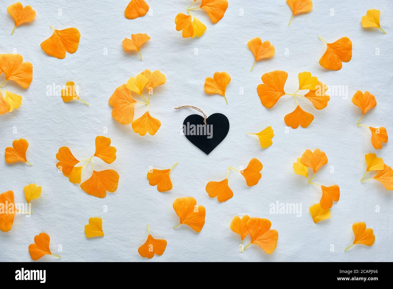 Fond plat d'automne en orange et marron. Feuilles de ginkgo orange en soie éparpillées sur fond textile blanc, coeur en bois noir. Banque D'Images