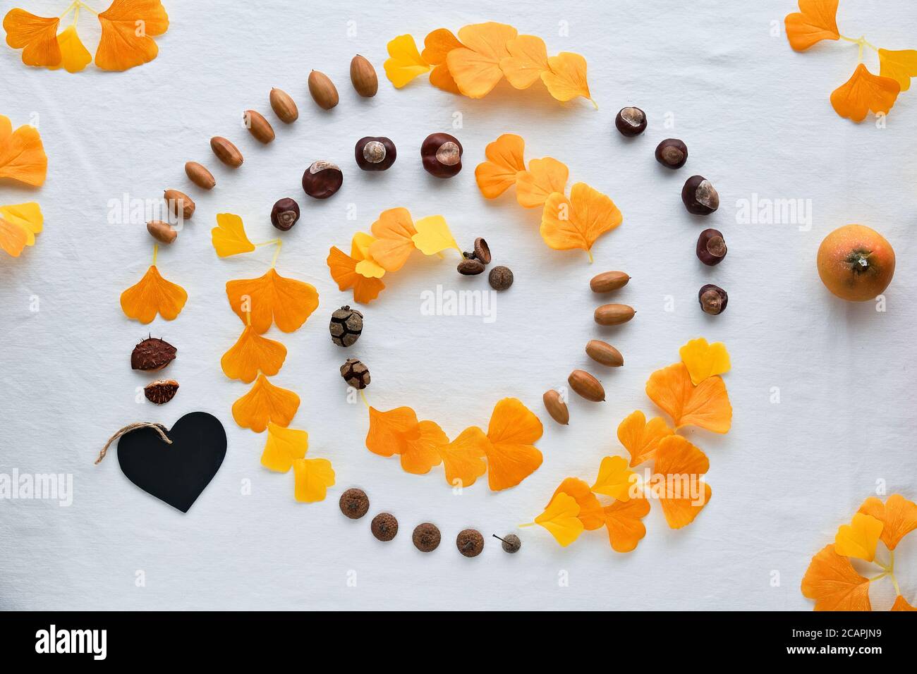 Résumé automne de fond sur le textile. Ligne en spirale faite de feuilles de ginkgo décoratives en soie, de châtaignes, d'acornes et de petits potiron décoratifs. Banque D'Images