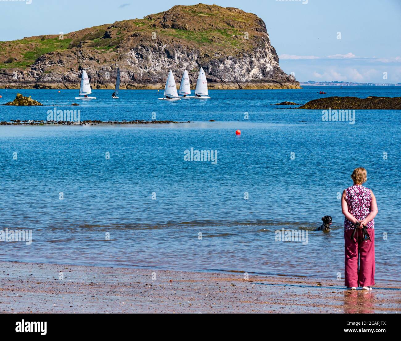 North Berwick, East Lothian, Écosse, 8 août 2020. Météo au Royaume-Uni : journée idéale pour les sports nautiques. Une chaude journée ensoleillée dans le Firth of Forth attire les gens à prendre à l'eau. Voile des dinghies dans l'eau comme East Lothian Yacht Club tient une course de club et une femme plus ancienne montres de la plage Banque D'Images