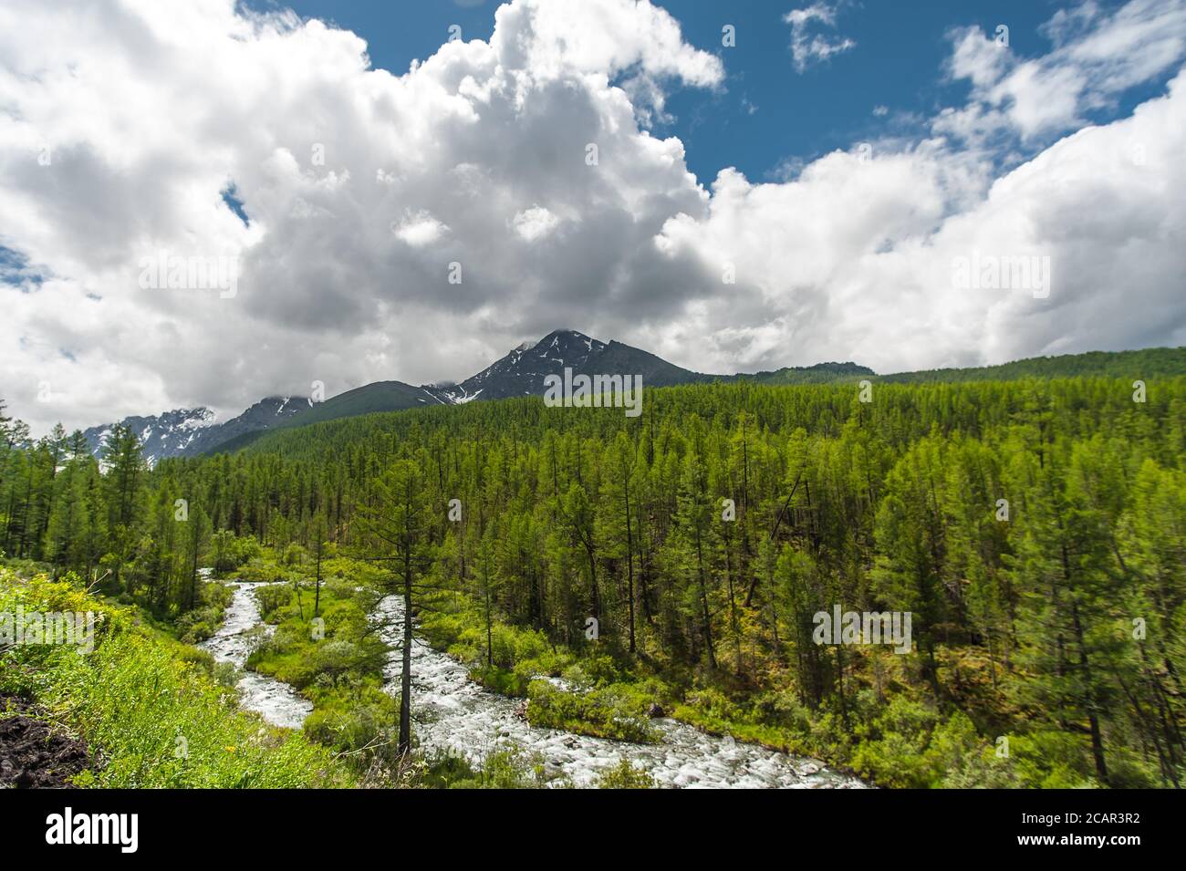rivière de montagne sur fond de montagnes avec des nuages. Montagne Altai Banque D'Images
