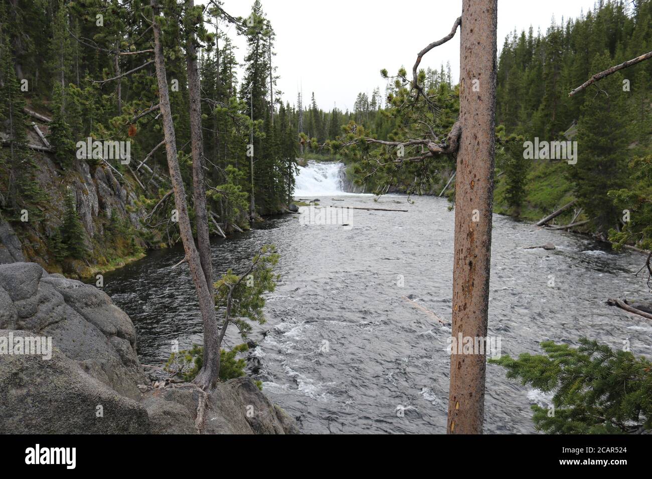 Firehole River et Kepler Cascades Parc national de Yellowstone, Wyoming, États-Unis par Joe C. Banque D'Images