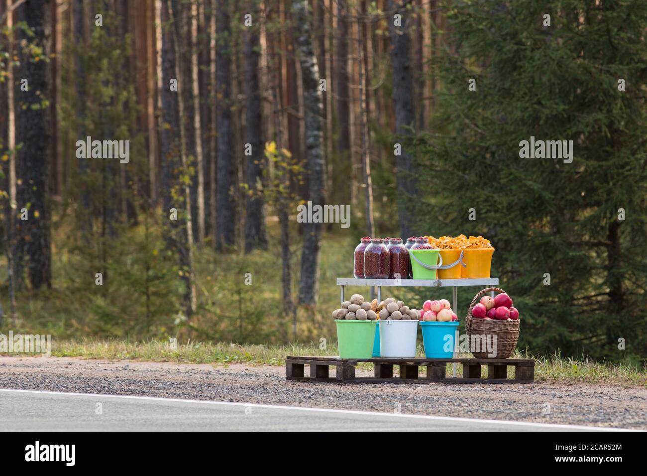 Récolte en vente (pomme de terre, champignons, pomme, baie différente) le long de la route, forêt de pins en arrière-plan. Commerce illégal sur les routes. Aliments biologiques Banque D'Images