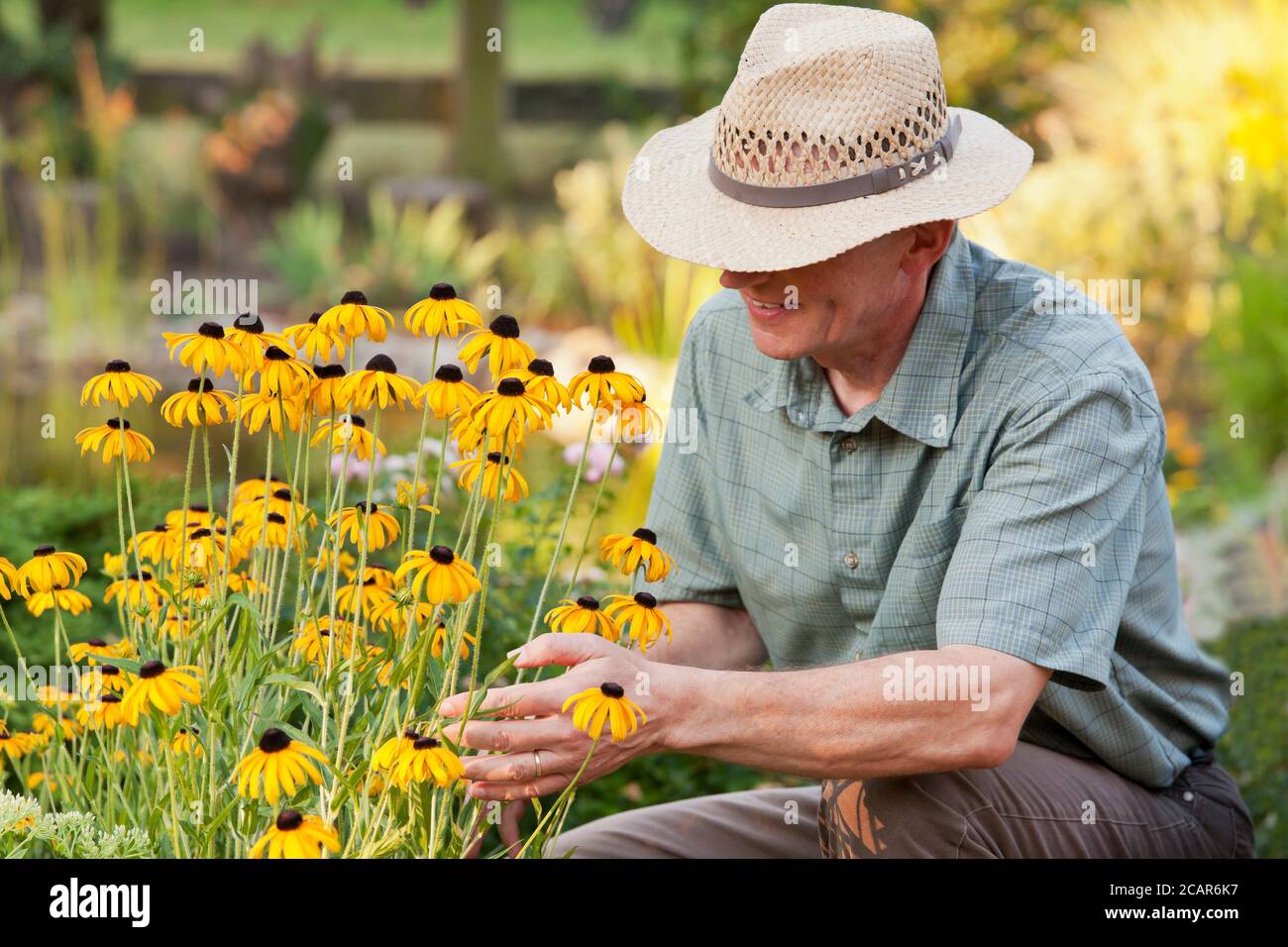 Jardinier mature regardant des fleurs jaunes dans un lit à fleurs un jardin dans la lumière du matin - se concentrer sur le chef de l'homme Banque D'Images