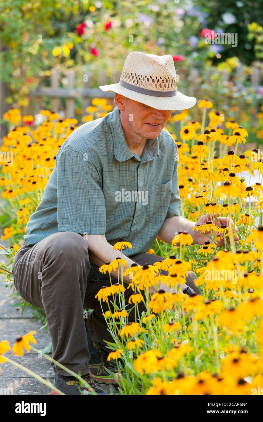 Jardinier mature regardant des fleurs jaunes dans un lit à fleurs un jardin dans la lumière du matin - se concentrer sur le chef de l'homme Banque D'Images