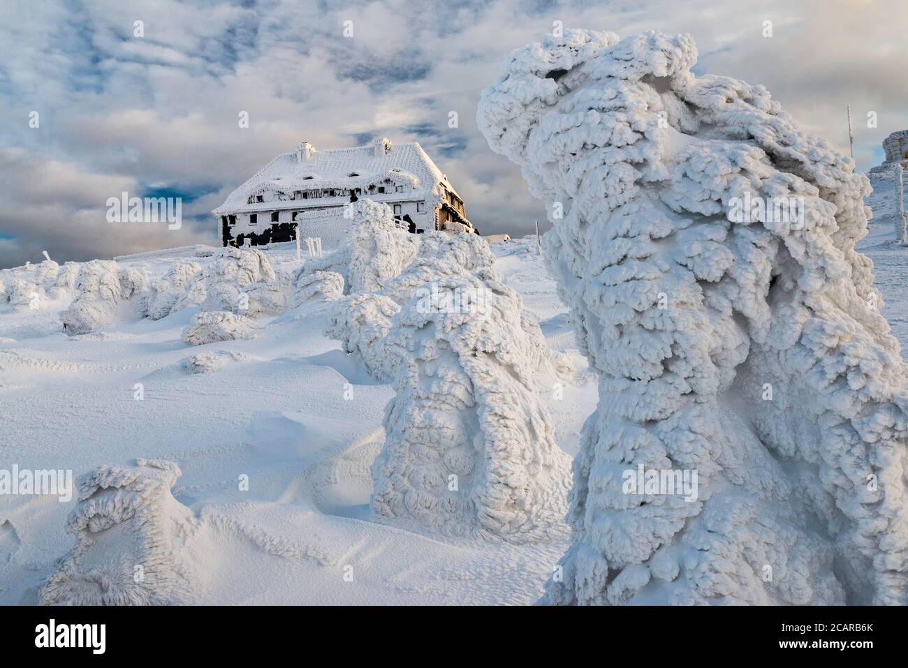 Cabane de montagne, pins de montagne nains, glace et neige enfermés, au lever du soleil, sommet de Szrenica, parc national de Karkonosze, Pologne Banque D'Images