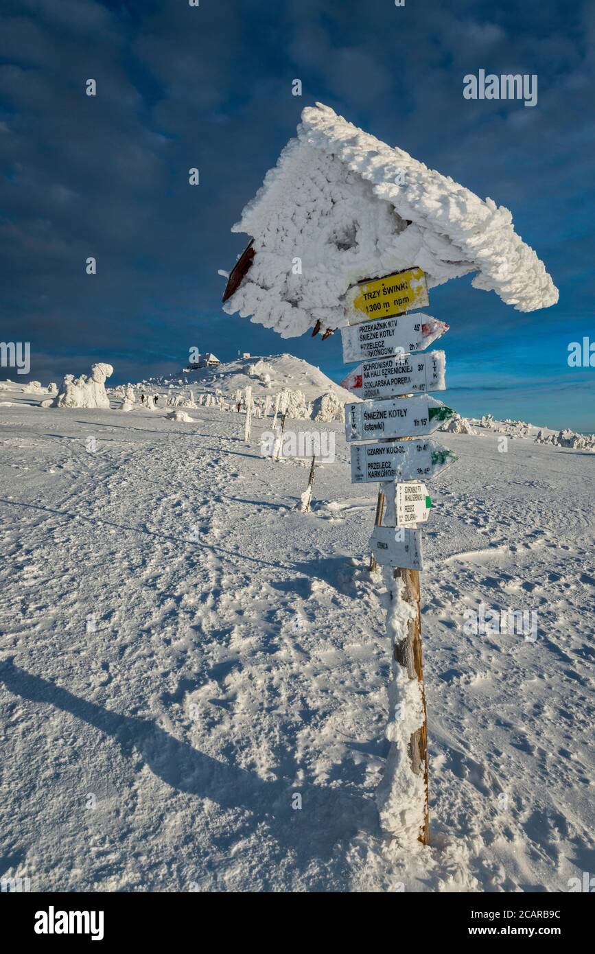 Sentier, glace et neige enfermés, zone de Trzy Świnki (trois porcelets), aire de Karkonosze, Sudètes, parc national de Karkonosze, frontière entre la Pologne et la République tchèque Banque D'Images