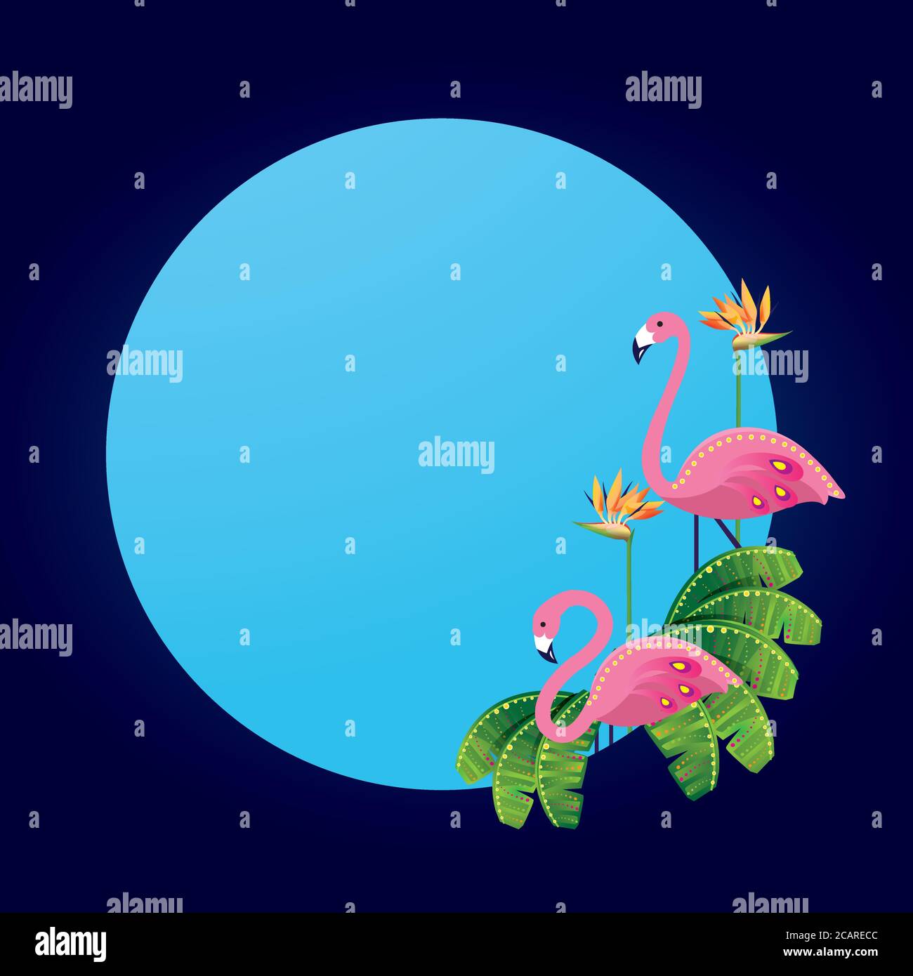 Cadre rond simple avec des oiseaux de flamants roses et dessin de plantes tropicales, avec oiseau de fleur de paradis. Illustration de Vecteur