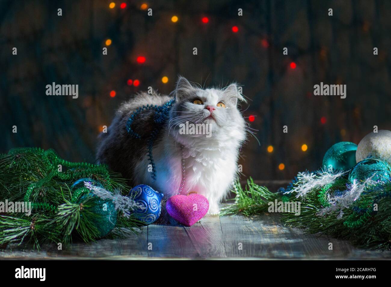 Kitty Jouant Avec Des Jouets De Noel Chat Sous Un Arbre De Noel Joyeux Anniversaire Avec Des Jouets De Noel Photo Stock Alamy