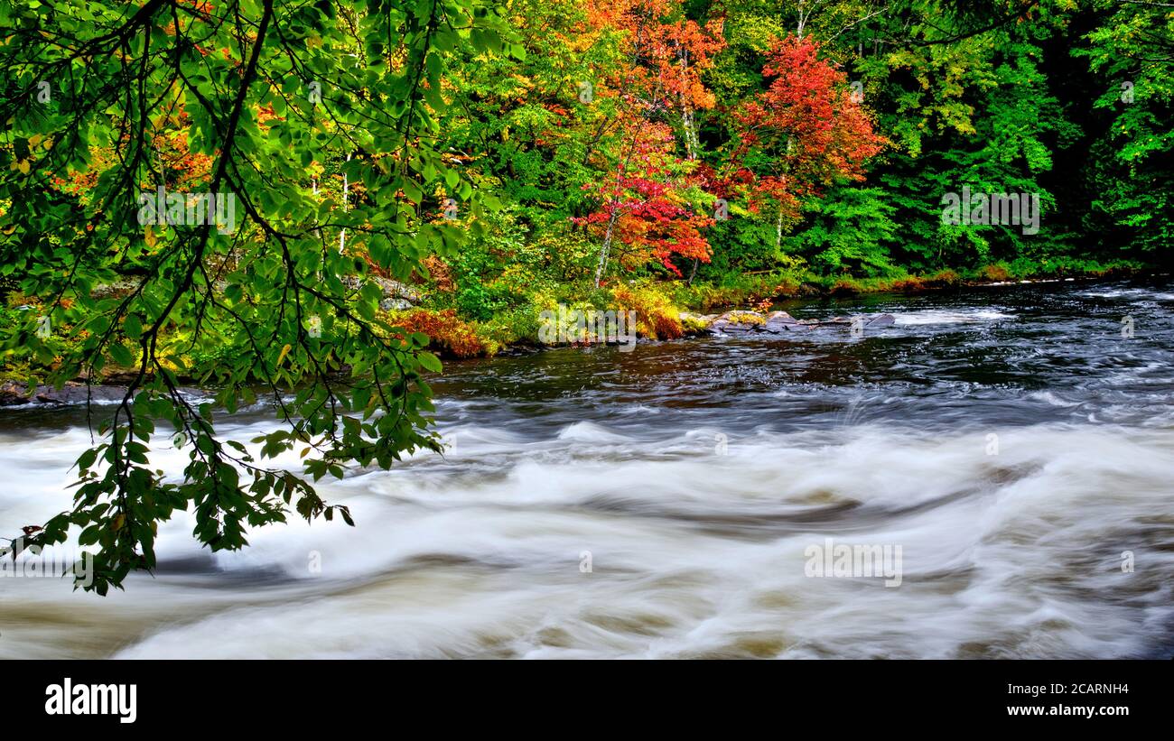 Couleur des feuilles d'automne avec ruisseau et eau courante Banque D'Images