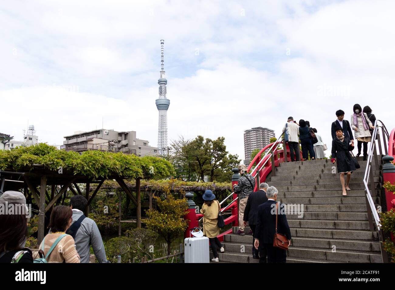 Tokyo, Japon, 1 mai 2019 : Voyage touristique non identifié pour voir la floraison fuji wisteria au sanctuaire de Kameido Tenjin avec Tokyo skytree et le ciel bleu comme backgro Banque D'Images