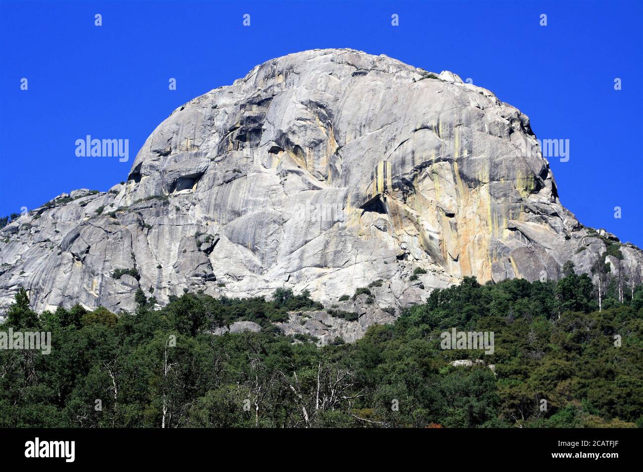 Le dôme en granit de Moro Rock, le parc national Sequoia, la chaîne de montagnes de la Sierra Nevada, le parc national de Kings Canyon Banque D'Images