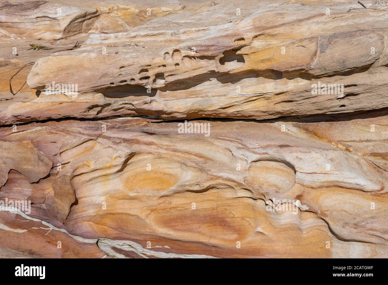 Détail d'un mur naturel aux tons de sable des Rocheuses à la plage de Wattamolla un après-midi d'hiver ensoleillé Banque D'Images