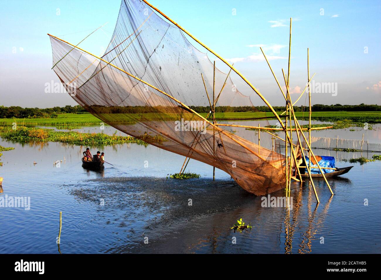 Photo de stock - pêche dans l'eau inondée. Manikganj, Bangladesh. Banque D'Images