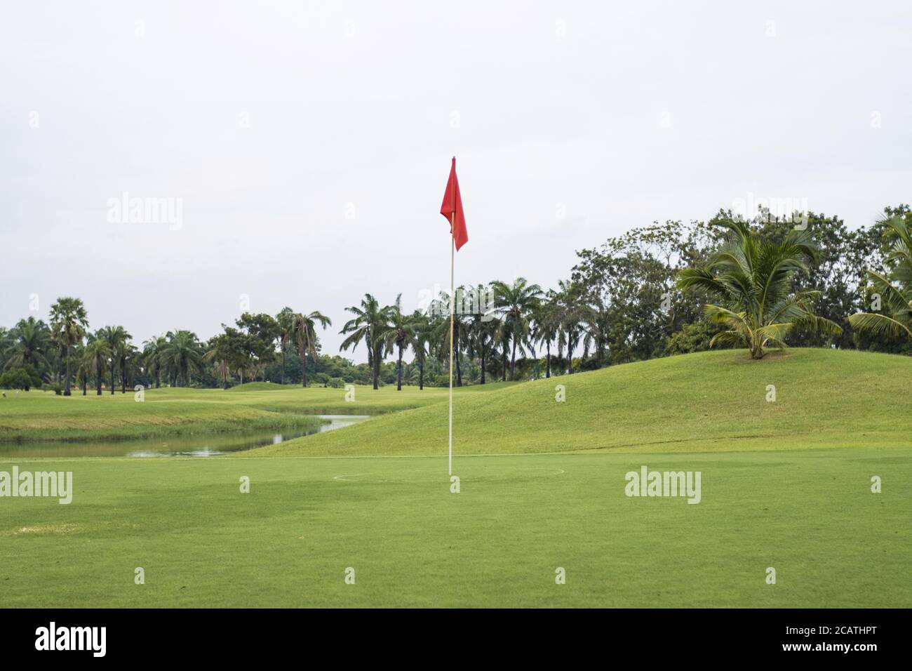 Drapeau rouge sur l'herbe dans le parcours de golf du vert Banque D'Images