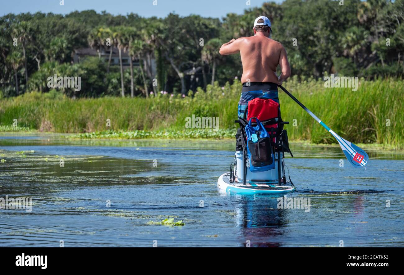 Paddleboarder explorant le marais côtier de la rivière Guana à Ponte Vedra Beach, Floride. (ÉTATS-UNIS) Banque D'Images