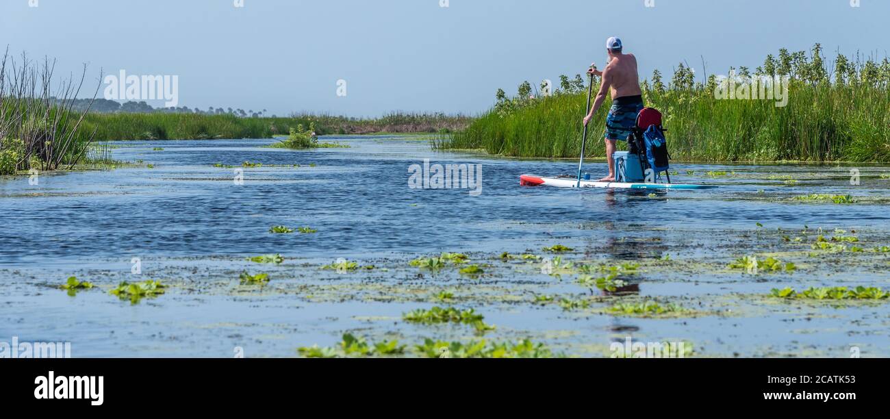 Paddleboarder naviguant sur le marais côtier de la rivière Guana à Ponte Vedra Beach, Floride. (ÉTATS-UNIS) Banque D'Images