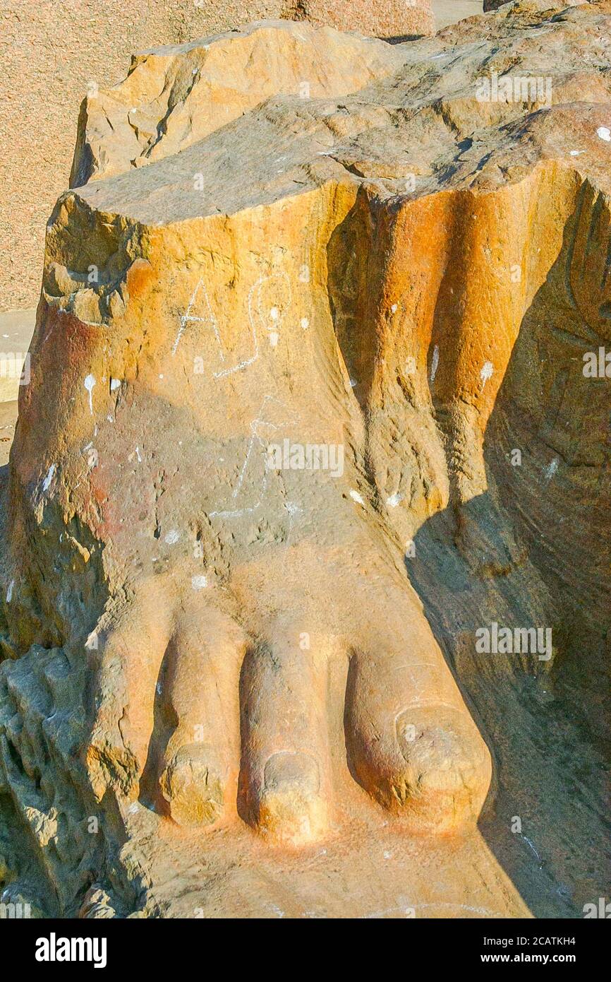 Égypte, Delta du Nil, Tanis, exposition de plusieurs objets anciens : pied d'un colosse. Banque D'Images