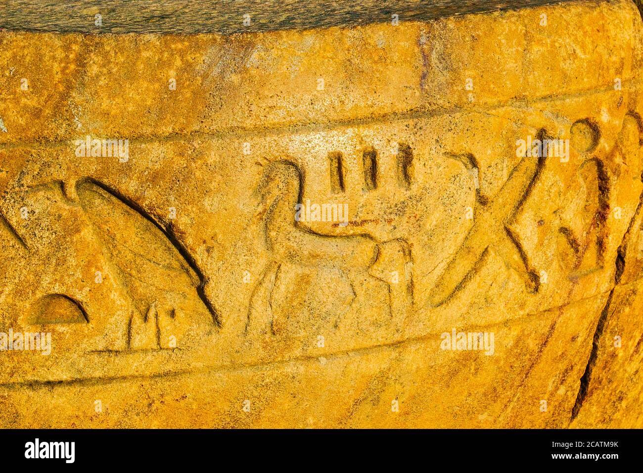 Égypte, Delta du Nil, Tanis, objets exposés près de la maison de mission : partie d'une colonne, avec hiéroglyphes, y compris le signe d'un cheval. Banque D'Images