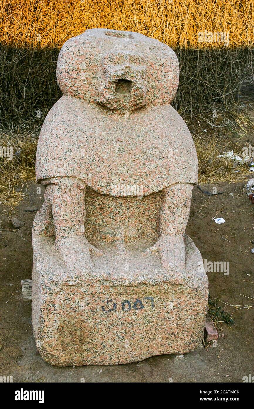 Égypte, Delta du Nil, Tanis, objets exposés près de la maison de mission : Statue d'un babouin. Banque D'Images