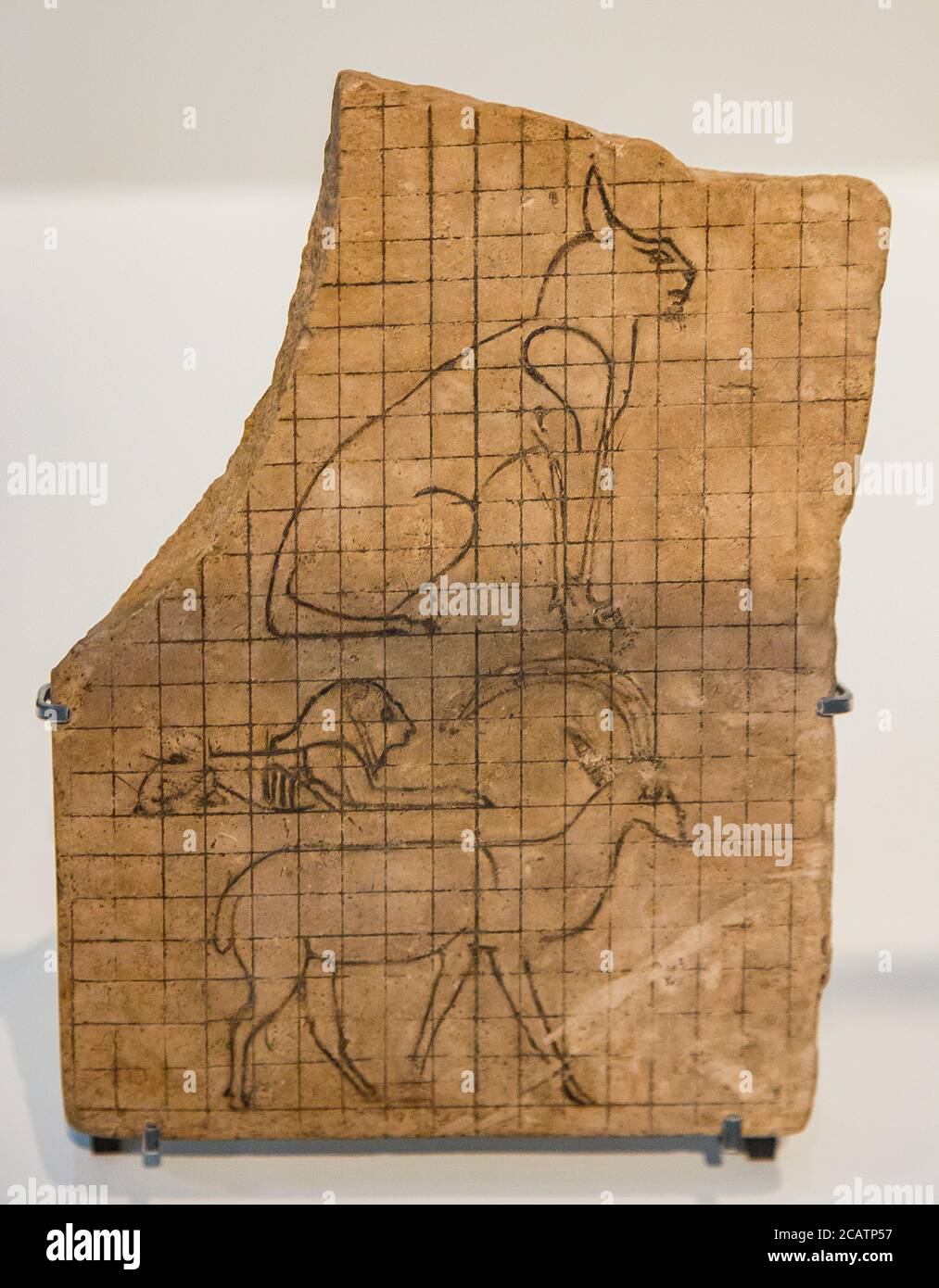 Exposition "le royaume des animaux dans l'Egypte ancienne", organisée en 2015 par le Musée du Louvre à Lens. Calcaire ostracon, avec une grille. Banque D'Images