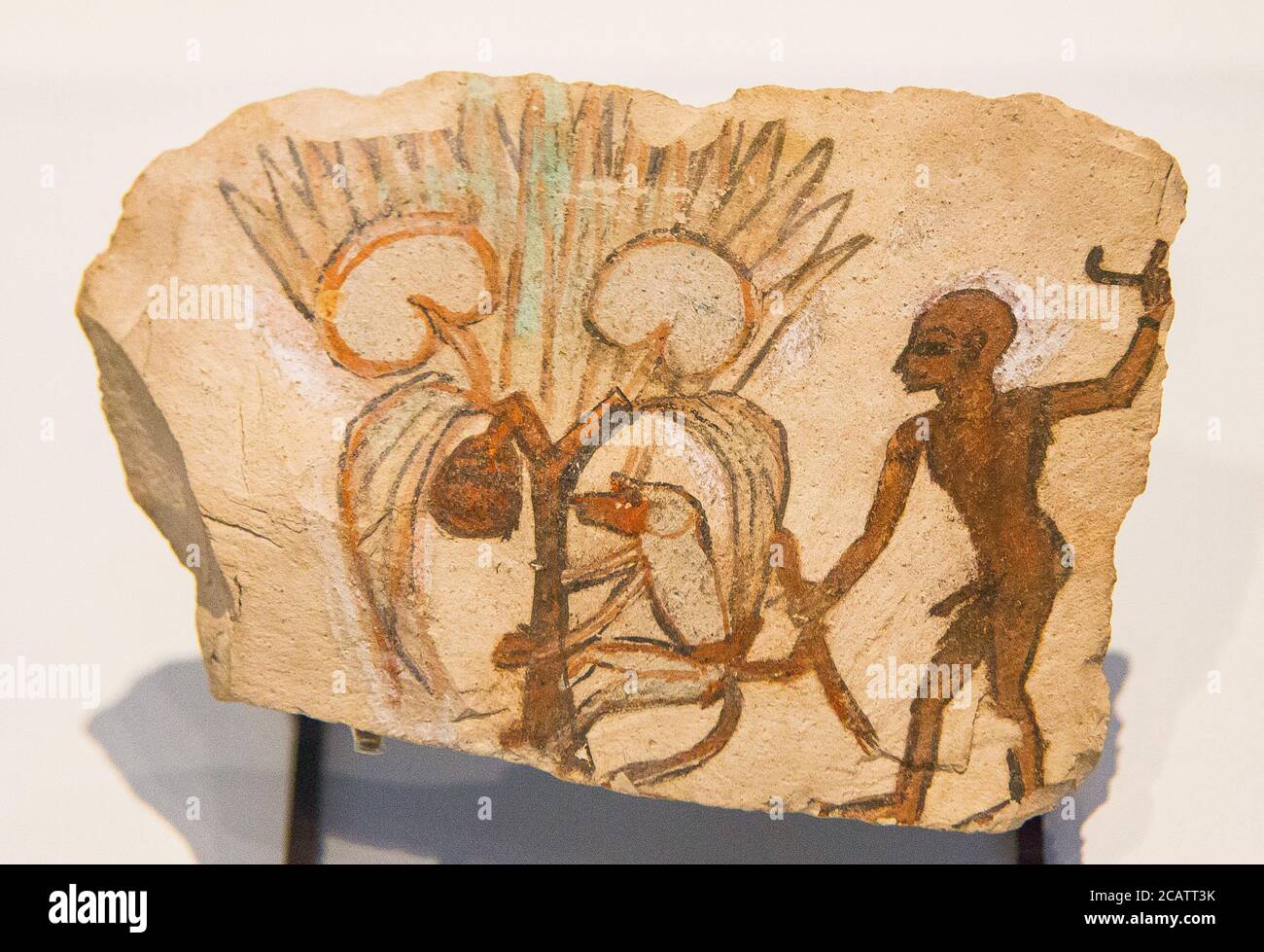 Exposition "le royaume des animaux dans l'Egypte ancienne", organisée en 2015 par le Musée du Louvre à Lens. Ostracon, singe cueillant des fruits. Banque D'Images