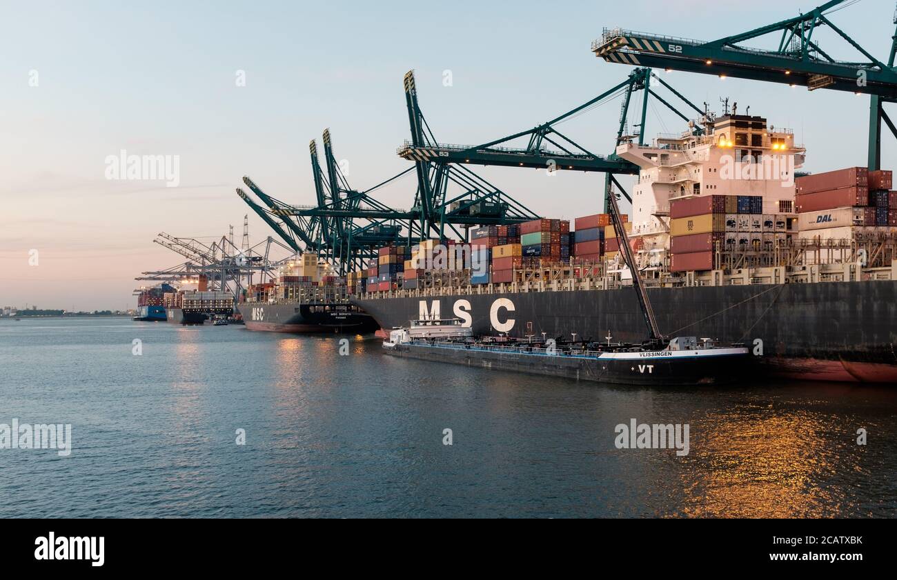 Les conteneurs sont déchargés du MSC Rachele dans le port d'Anvers Banque D'Images