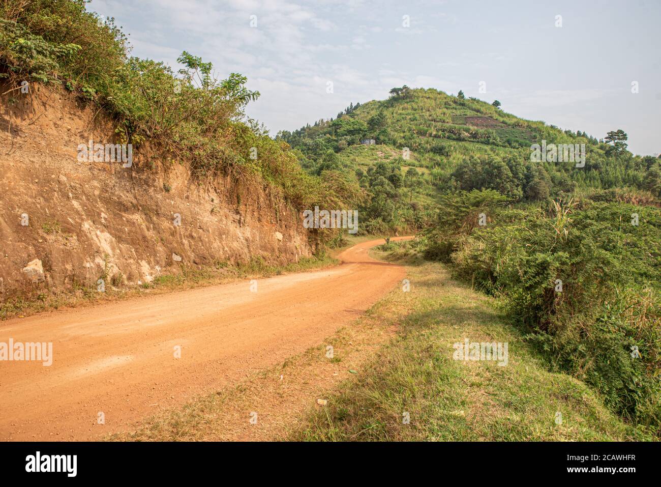 Route non pavée à travers la végétation verte, district de Kyjoy, Ouganda Banque D'Images