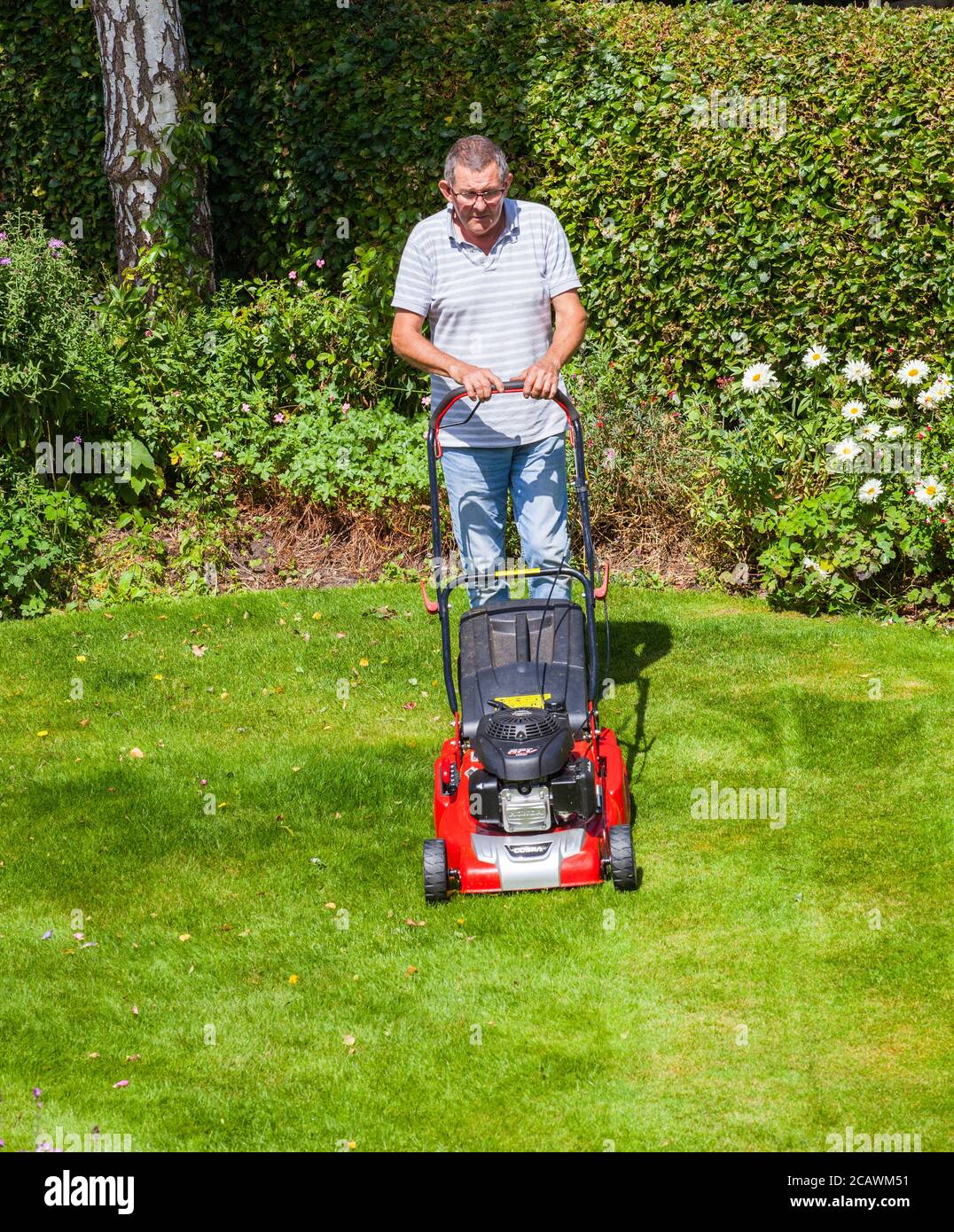 Homme fauchant une pelouse à l'aide d'une tondeuse rotative Un jardin  anglais cottage Angleterre Royaume-Uni Photo Stock - Alamy