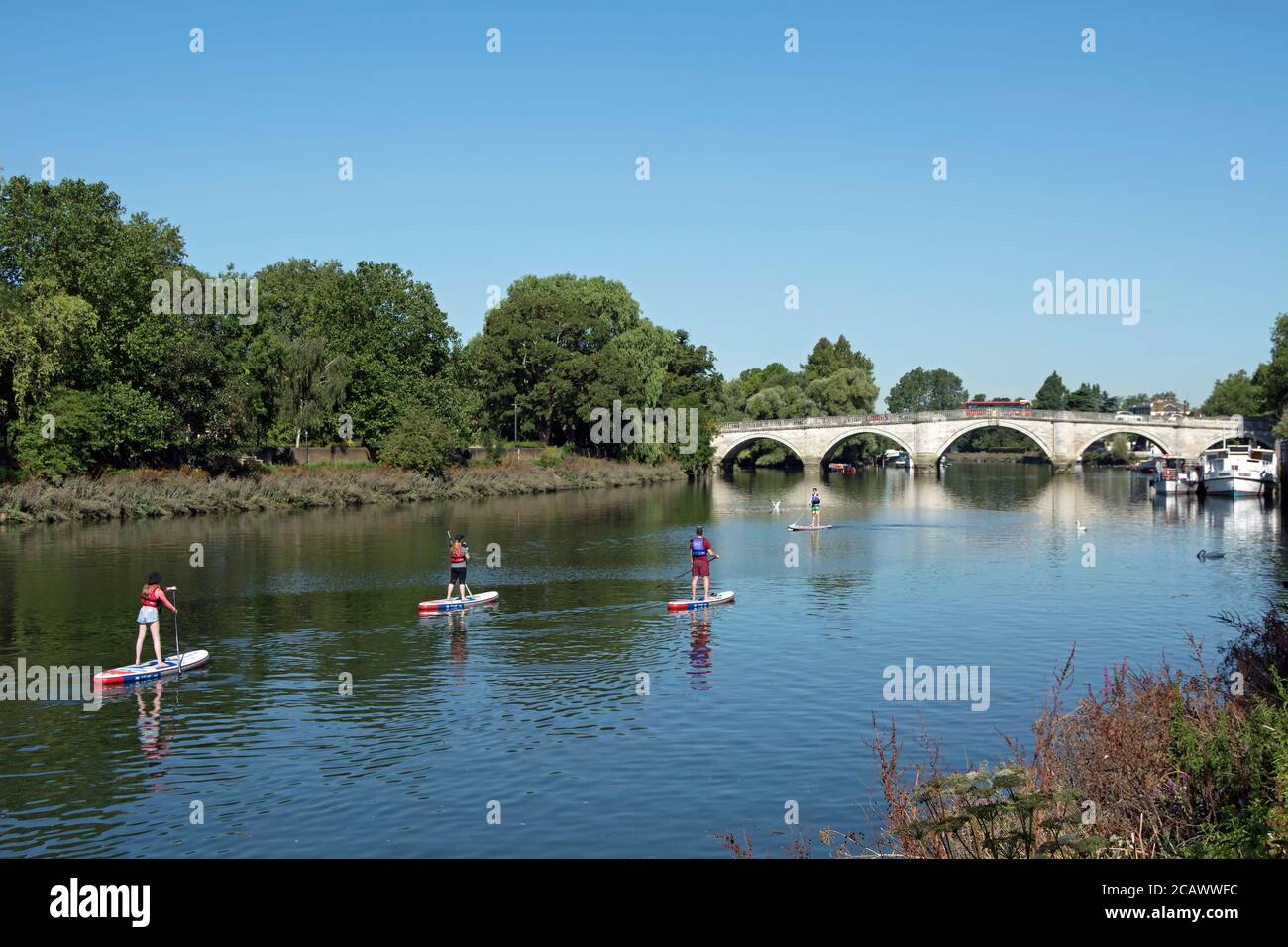 paddleboardeurs sur la tamise approchant du pont de richmond, richmond, surrey, angleterre Banque D'Images