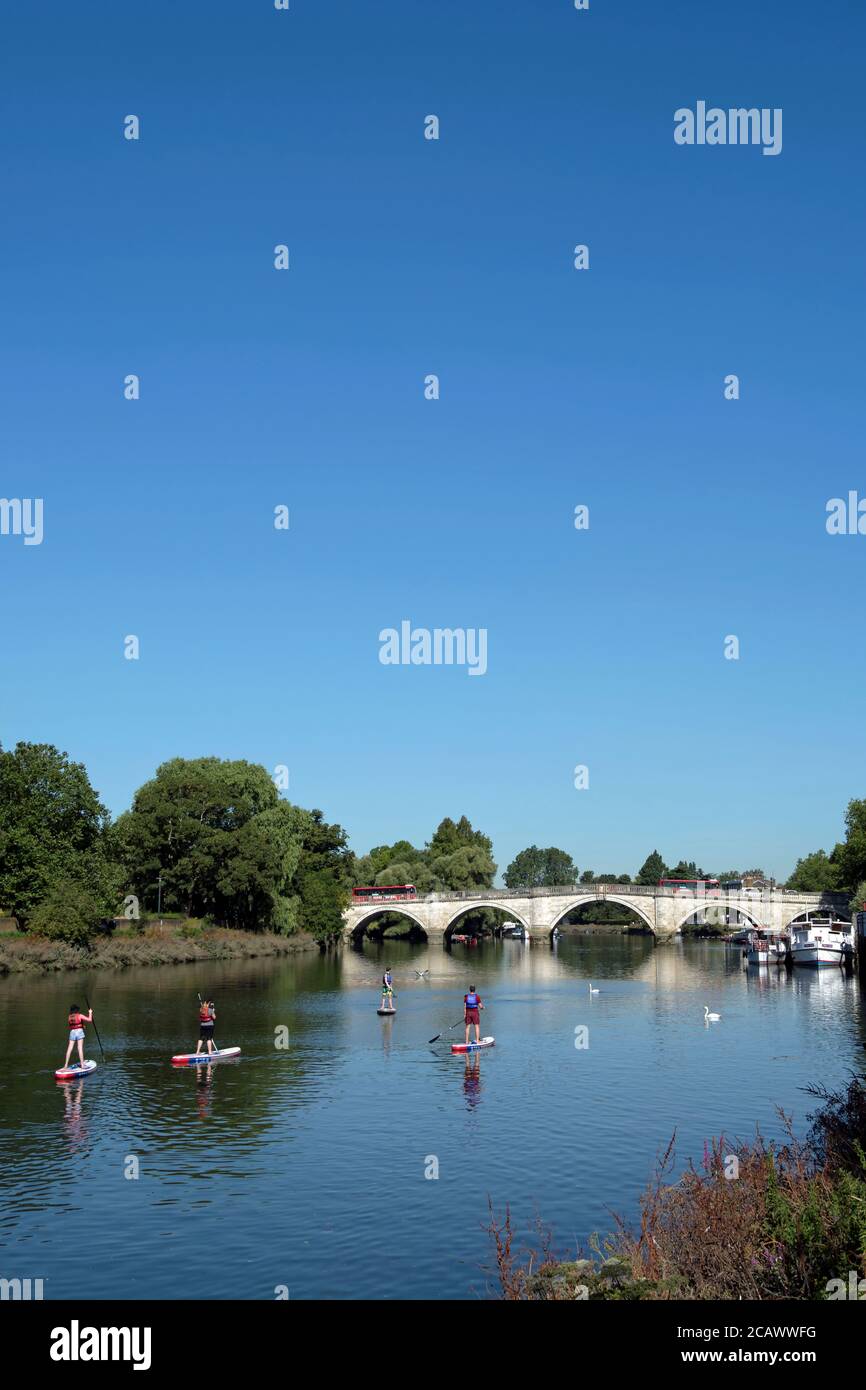 paddleboardeurs sur la tamise approchant du pont de richmond, richmond, surrey, angleterre Banque D'Images