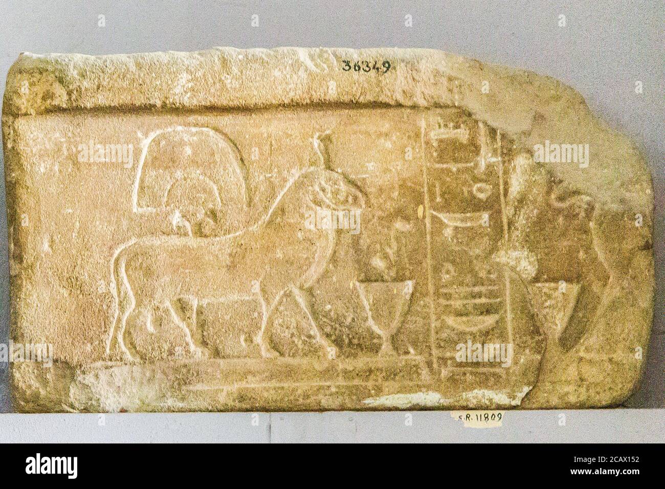Égypte, le Caire, Musée égyptien, stela votive avec 2 béliers d'Amon, grès, de Karnak. Banque D'Images