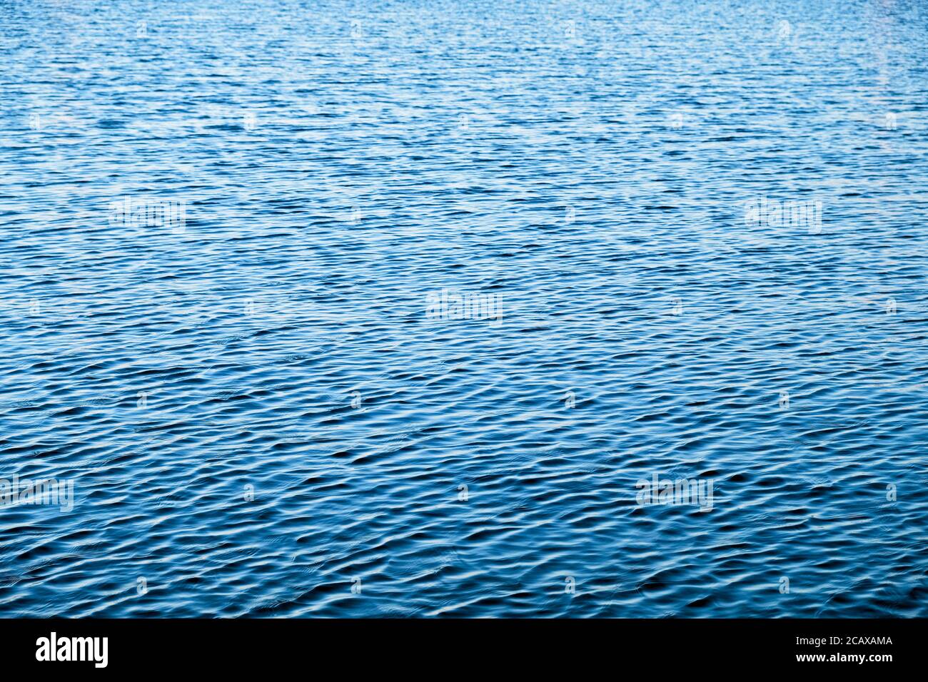 Surface vide pour le texte avec des ondulations sur la surface de l'eau. Banque D'Images