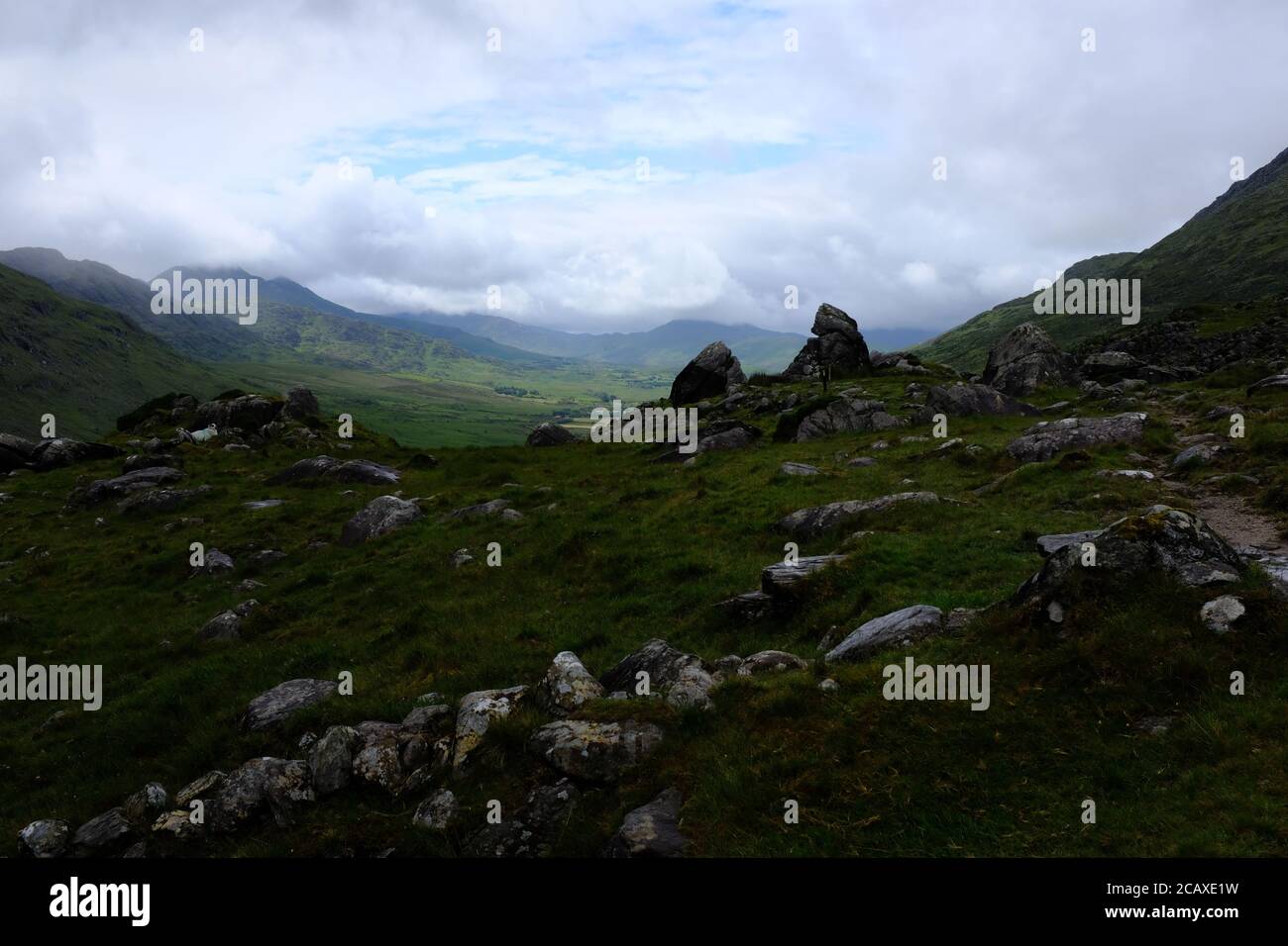 Marcher sur le Kerry Way en 2019 dans le compte Kerry In Le sud de l'Irlande fait une boucle autour de la péninsule Iveragh Glencaare À Black Valley Banque D'Images