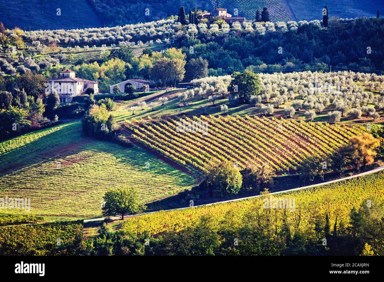 La campagne toscane avec ses vignobles et ses oliveraies autour de San Gimignano, en Italie. Banque D'Images