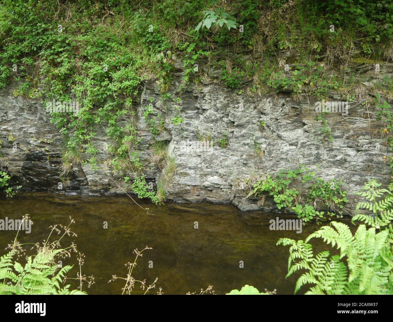 Ardoise Cliff face sur une Riverbank Banque D'Images