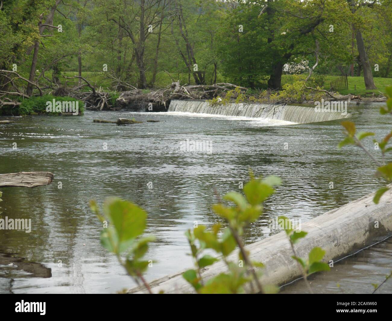Cascade Horseshoe en Angleterre Banque D'Images
