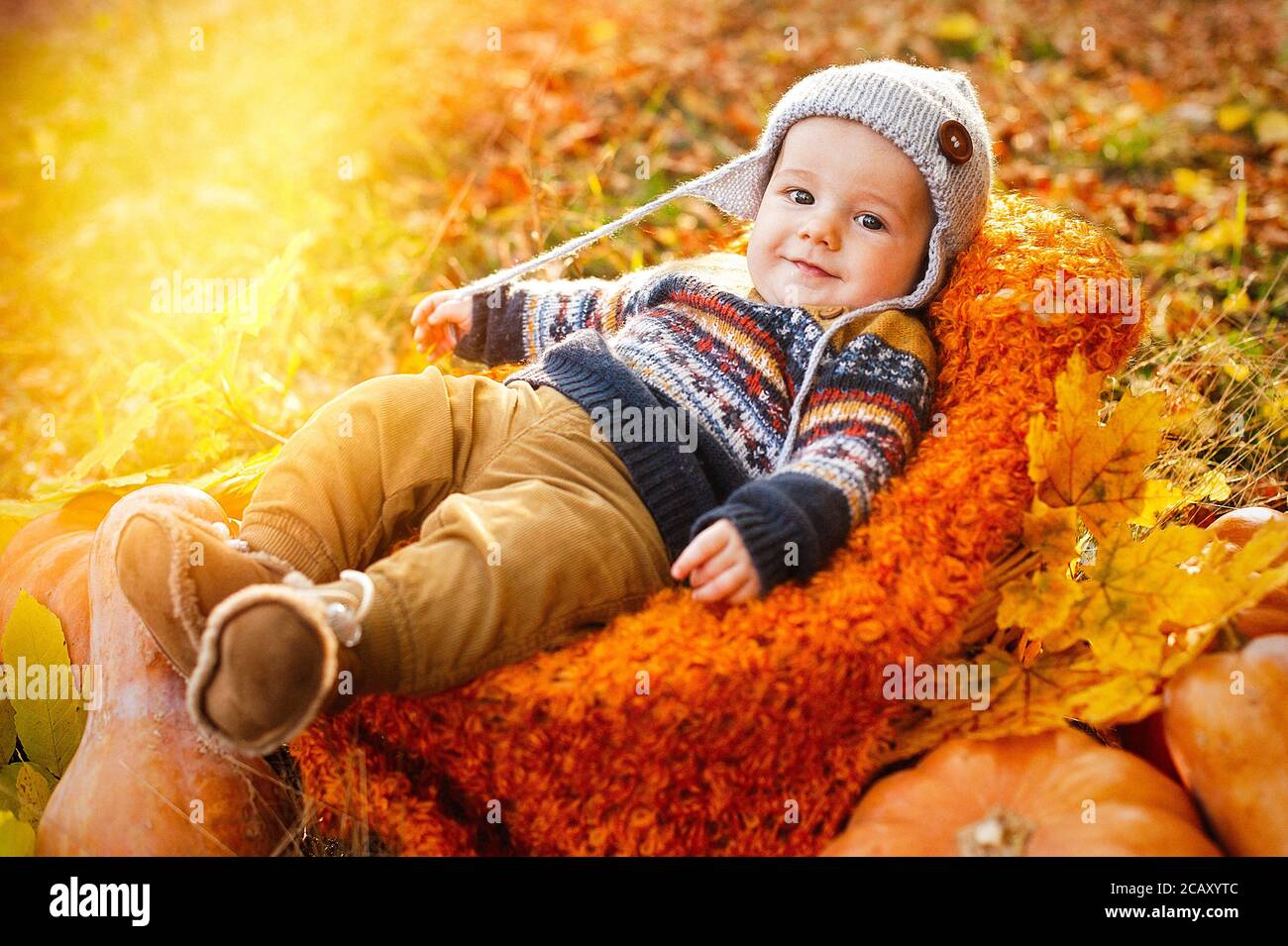 Un enfant garçon est dans un panier avec des citrouilles dans des feuilles d'automne. Banque D'Images