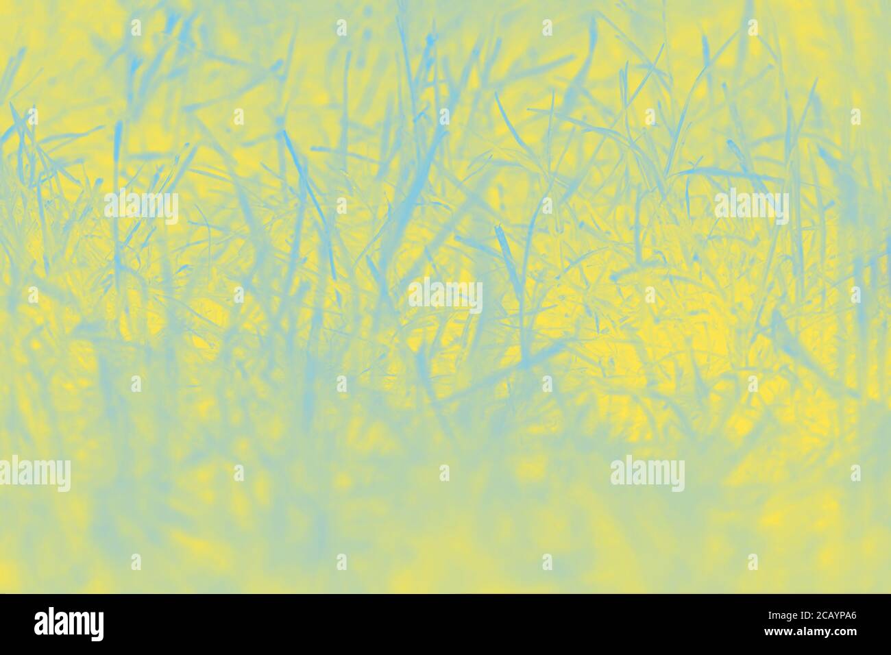 Arrière-plan abstrait bleu jaune flou avec motif herbe Banque D'Images Arrière-plan abstrait bleu jaune flou avec motif herbe Banque D'Images