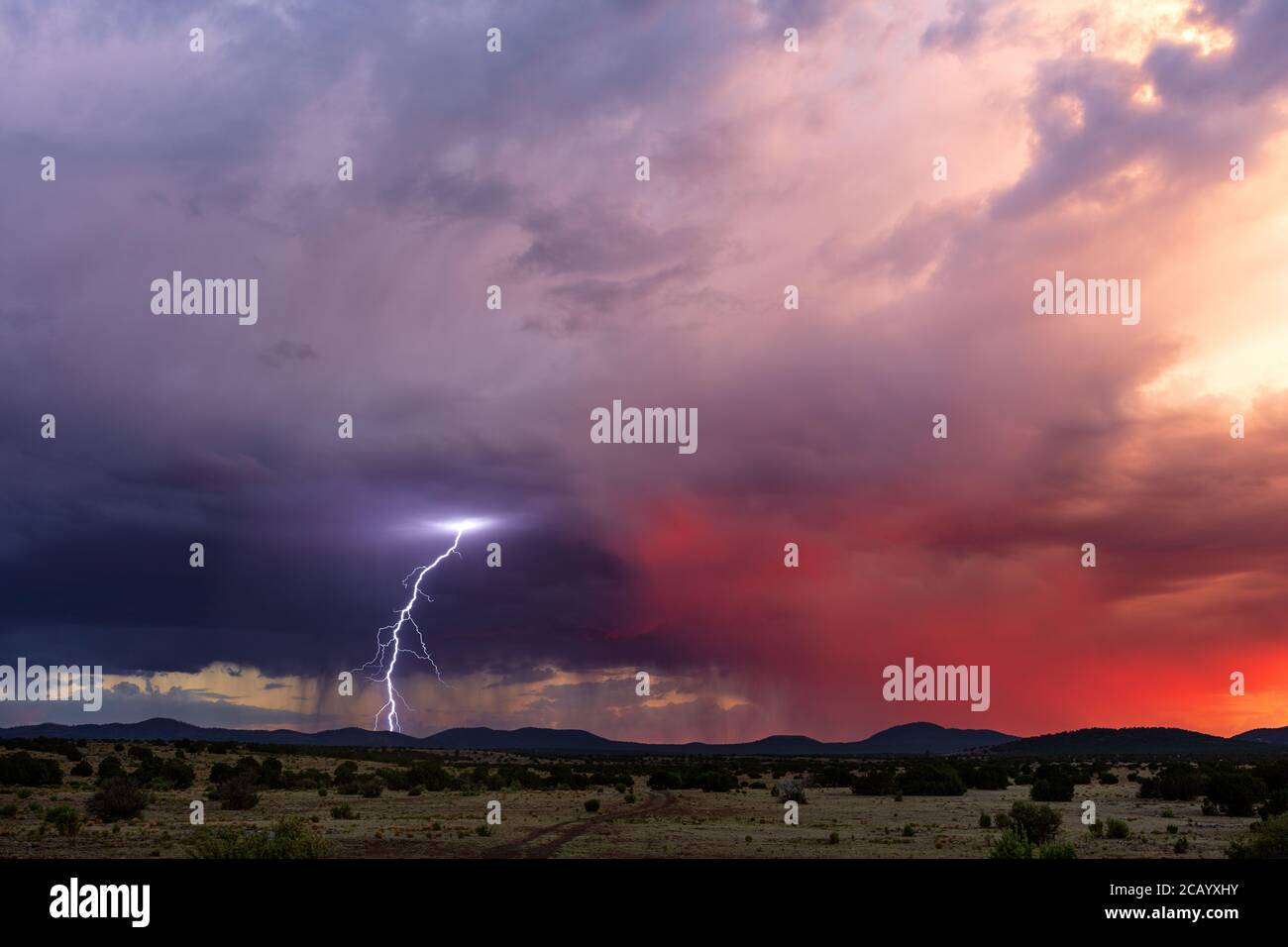 Coup de foudre d'une tempête près de Show Low, Arizona Banque D'Images