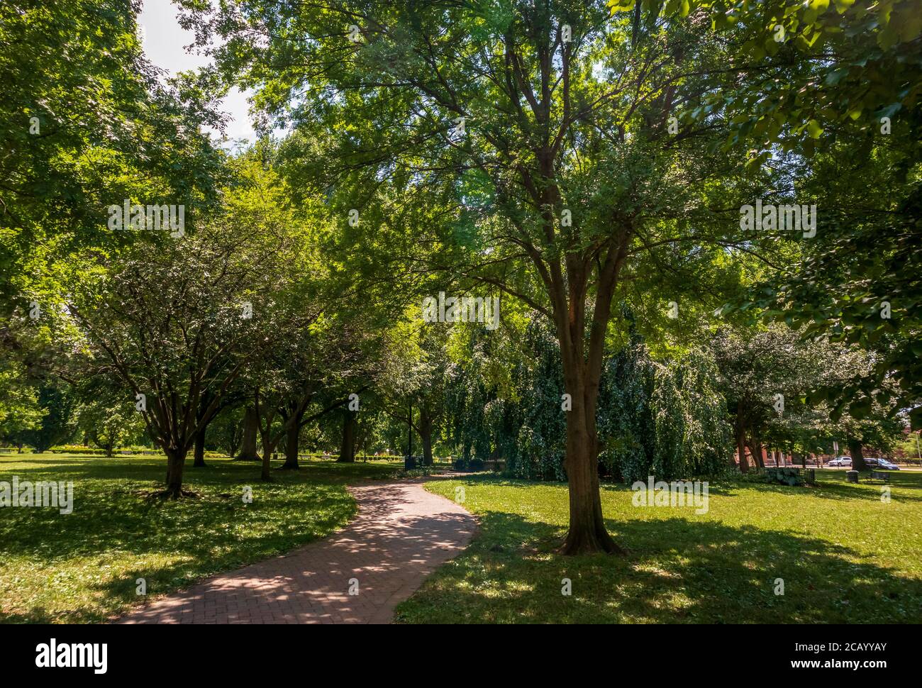 Beaux arbres dans Schiller Park dans le village allemand, Columbus, Ohio Banque D'Images