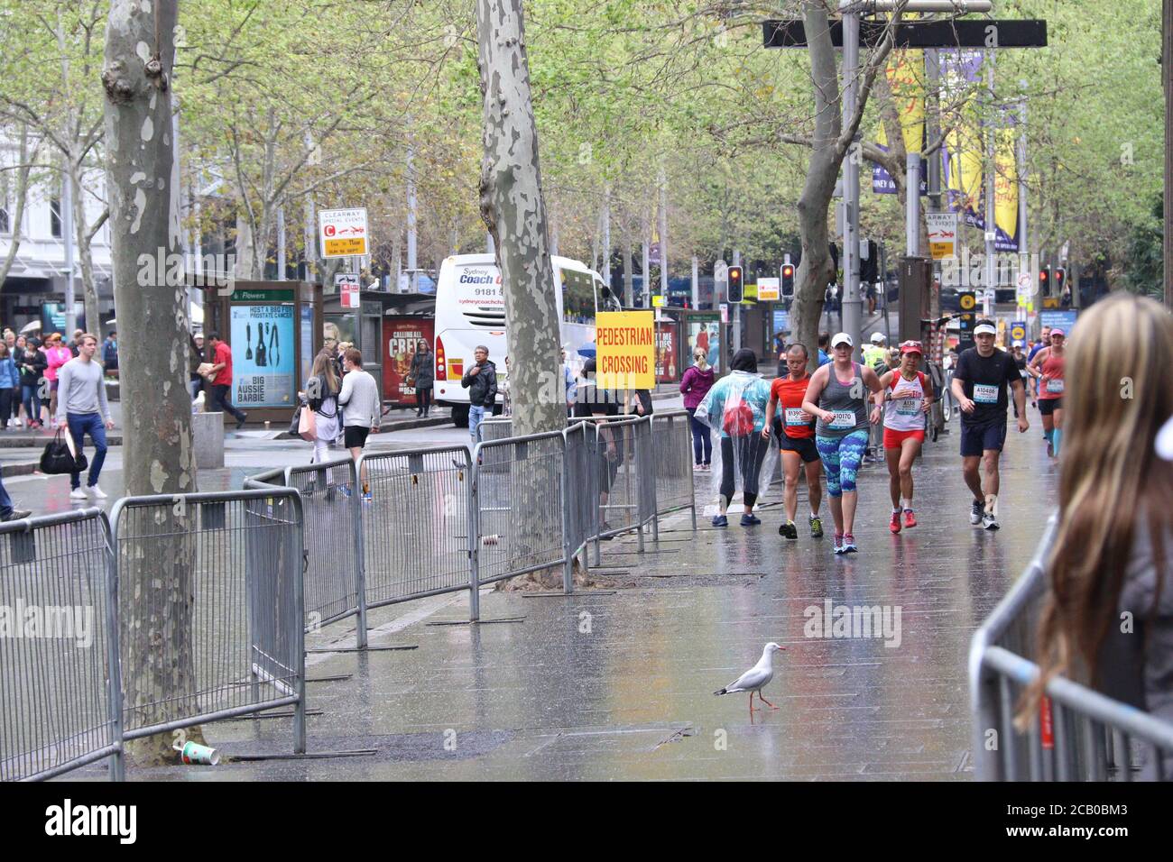 Marathon de Blackmores à Sydney Banque D'Images