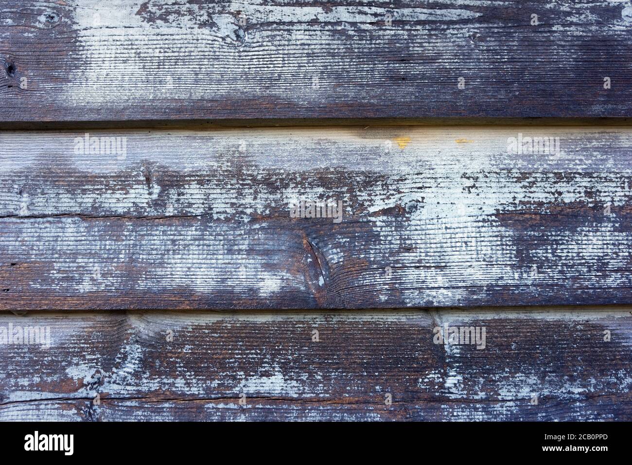 Texture d'arrière-plan en bois humide avec des ondulations, des lignes abstraites et des formes. Banque D'Images
